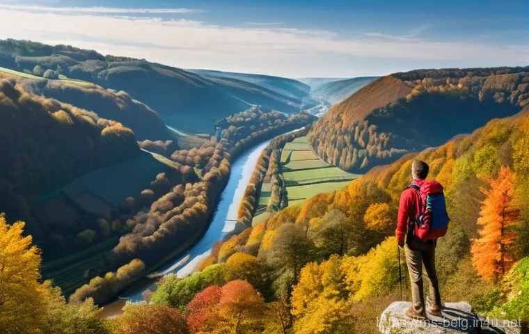 벨기에 하이킹 코스 - **Ardennes Forest Serenity:** "A serene, mystical view inside the dense Ardennes forest in Belgium. ...