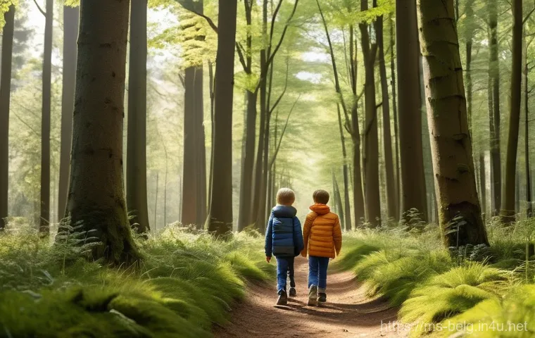 벨기에 하이킹 코스 - **Autumnal Ourthe River Valley View:** "A breathtaking panoramic view of the Ourthe River valley in ...