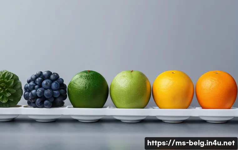 벨기에 미슐랭 레스토랑 관련 이미지 1